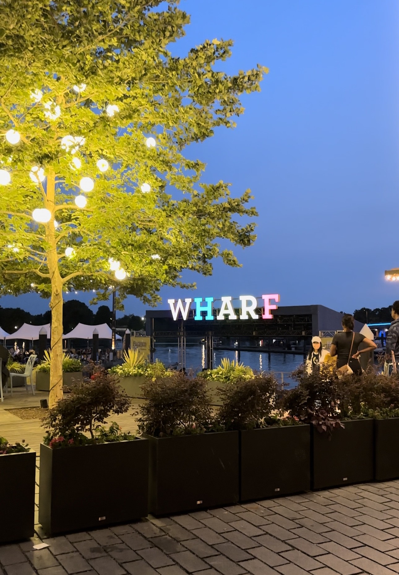 Best Places to Eat at the Wharf DC