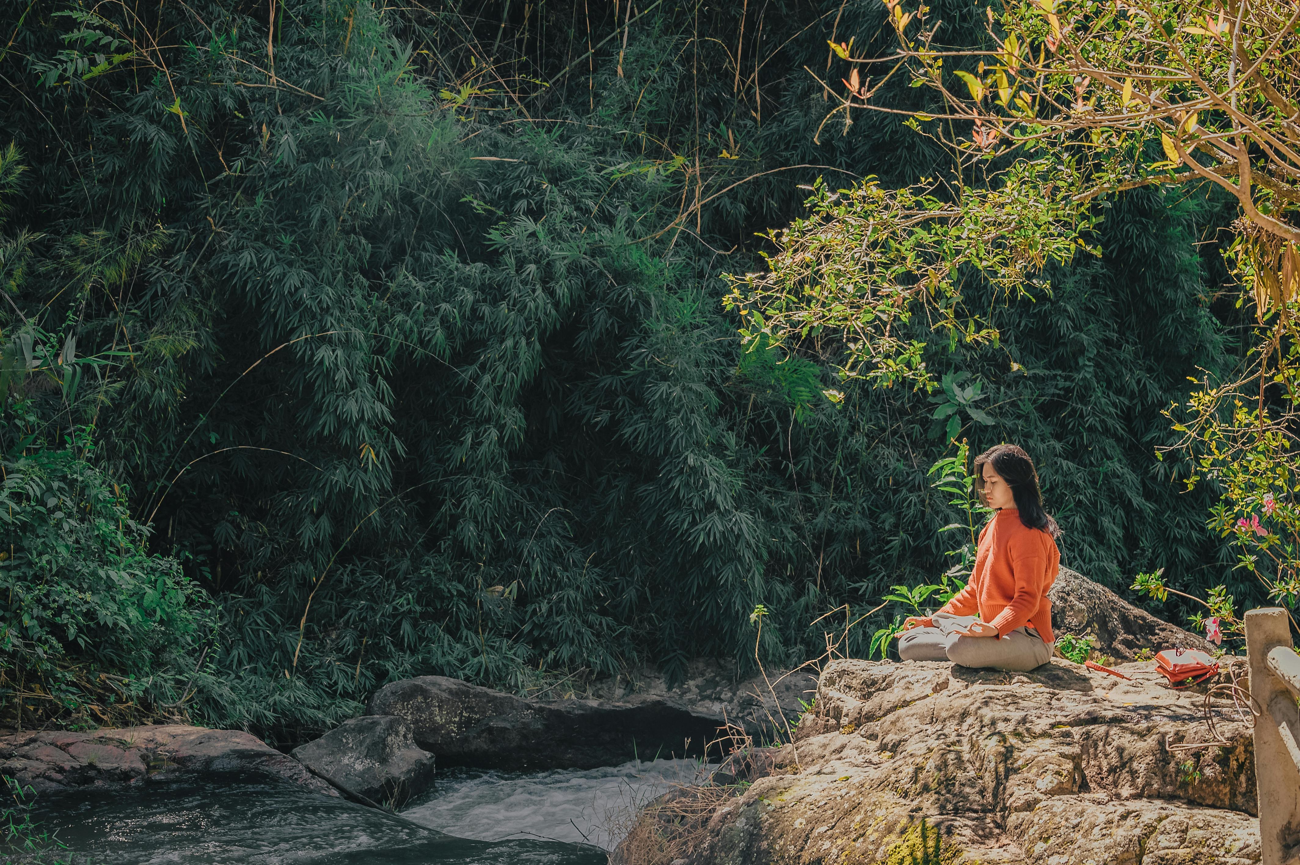 Mindful Meditation Spots in Washington, DC: Discovering Inner Peace